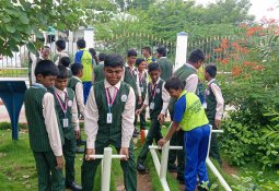 Stem Park